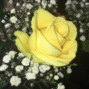 Meet your Posher, Talia